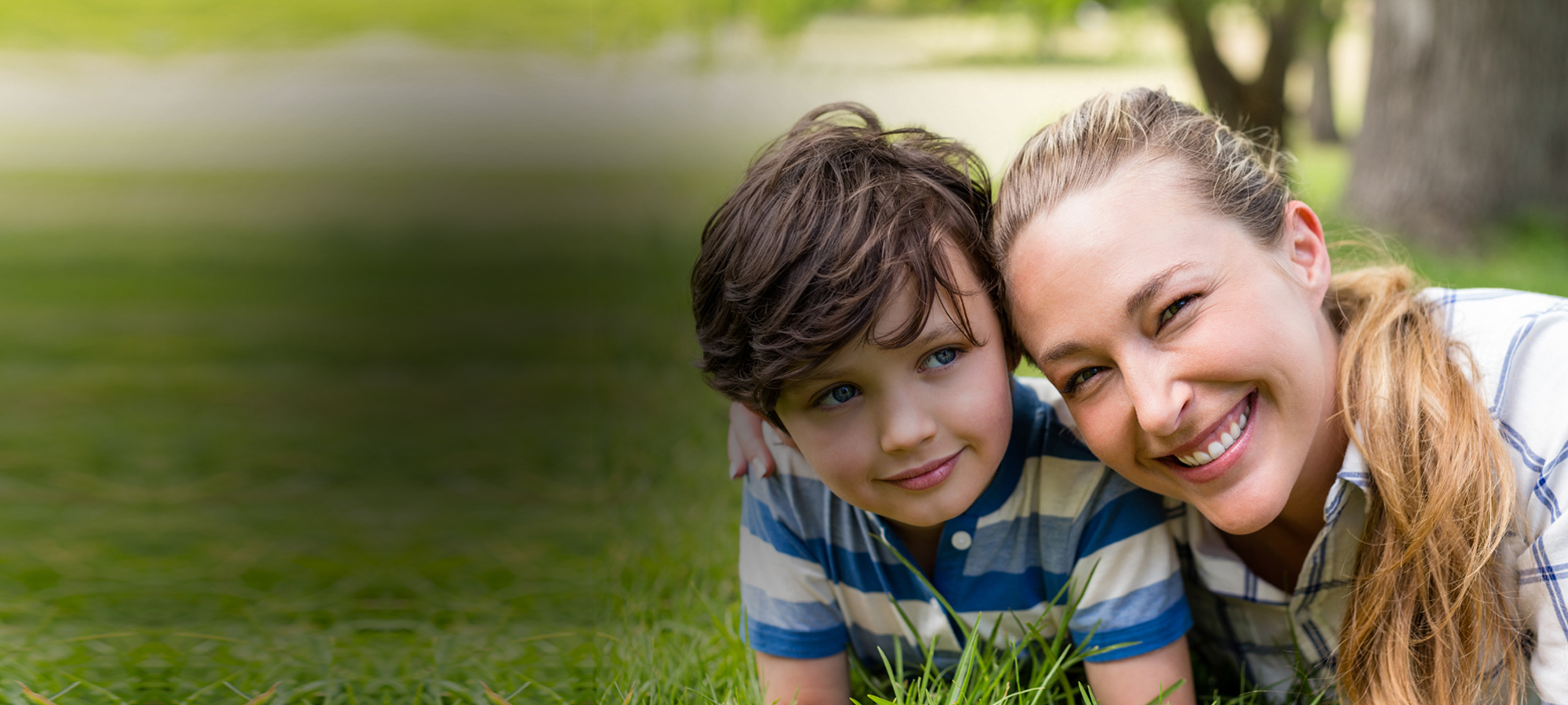 knoxville-bonds-banner